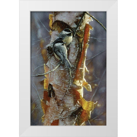 Black-Capped Chickadees - Sunlit Birch White Modern Wood Framed Art Print by Bogle, Collin