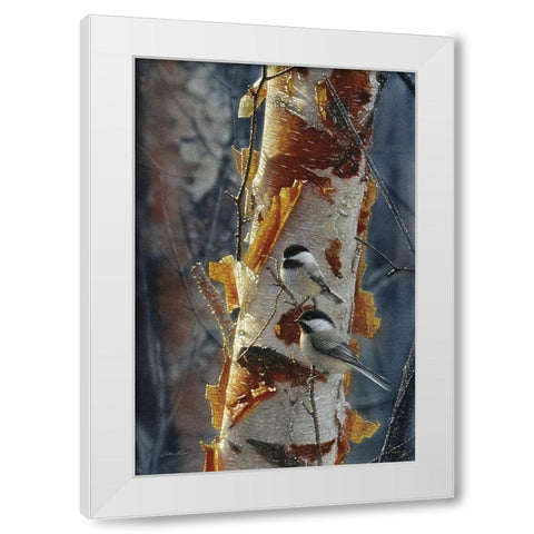 Black-Capped Chickadees - Sunlit Birch II White Modern Wood Framed Art Print by Bogle, Collin