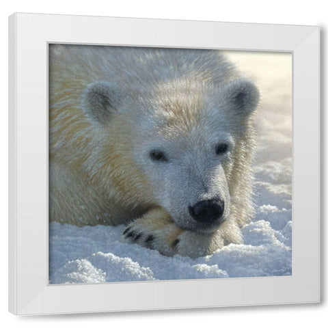 Polar Bear Club White Modern Wood Framed Art Print by Bogle, Collin