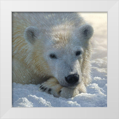 Polar Bear Club White Modern Wood Framed Art Print by Bogle, Collin