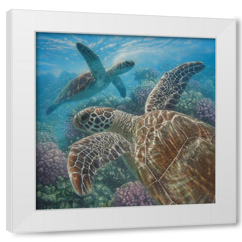 Sea Turtles - Turtle Bay - Square White Modern Wood Framed Art Print by Bogle, Collin