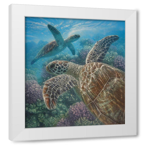 Sea Turtles - Turtle Bay White Modern Wood Framed Art Print by Bogle, Collin