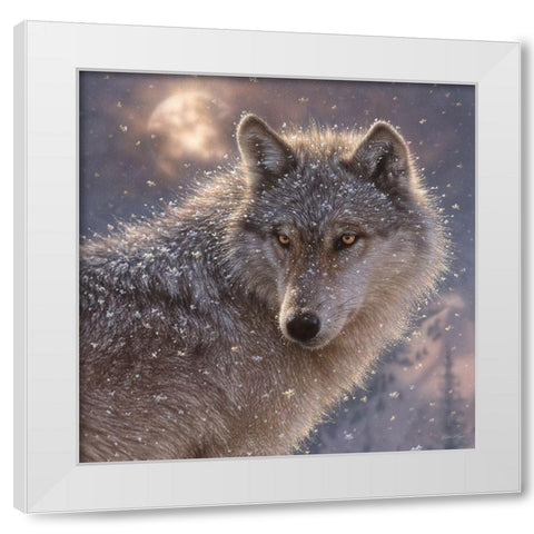Lone Wolf - Square White Modern Wood Framed Art Print by Bogle, Collin