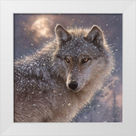 Lone Wolf - Square White Modern Wood Framed Art Print by Bogle, Collin