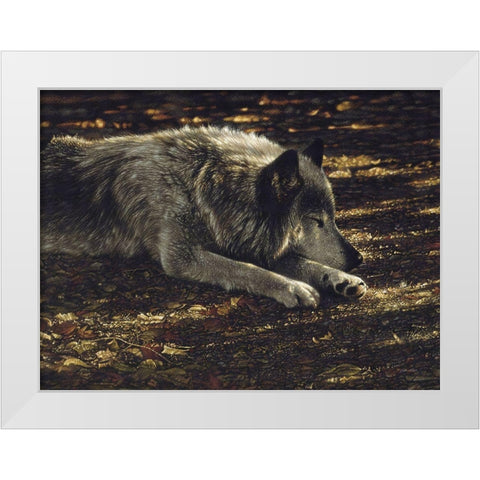 Resting Wolf White Modern Wood Framed Art Print by Bogle, Collin