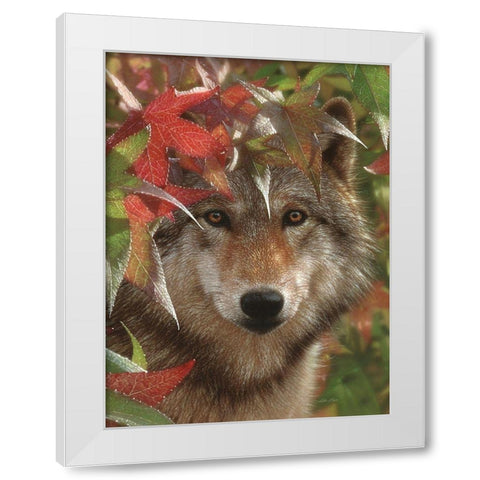 Wolf - Autumn Encounter White Modern Wood Framed Art Print by Bogle, Collin