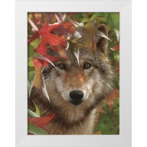 Wolf - Autumn Encounter White Modern Wood Framed Art Print by Bogle, Collin