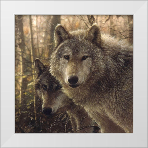 Wolves - Woodland Companions White Modern Wood Framed Art Print by Bogle, Collin