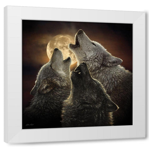 Wolf Trinity White Modern Wood Framed Art Print by Bogle, Collin