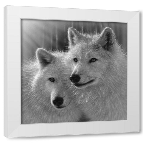 Wolves - Sunlit Soulmates - BandW White Modern Wood Framed Art Print by Bogle, Collin