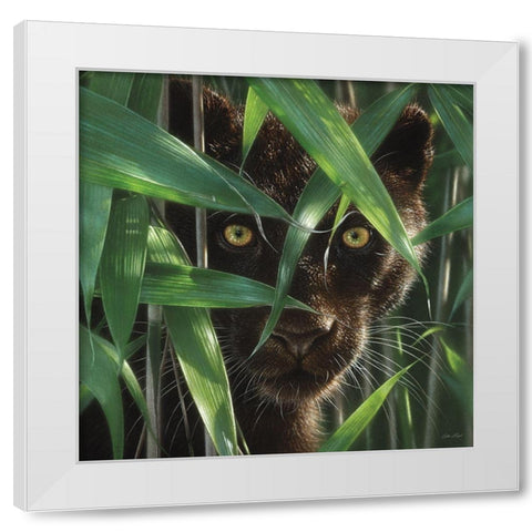 Black Panther - Wild Eyes White Modern Wood Framed Art Print by Bogle, Collin