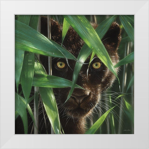 Black Panther - Wild Eyes White Modern Wood Framed Art Print by Bogle, Collin