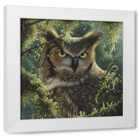 Great Horned Owl - Watching and Waiting White Modern Wood Framed Art Print by Bogle, Collin