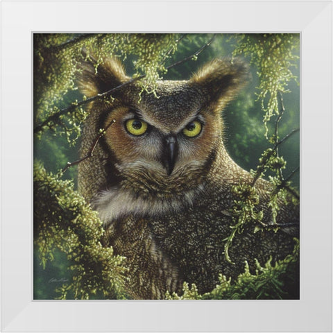 Great Horned Owl - Watching and Waiting White Modern Wood Framed Art Print by Bogle, Collin