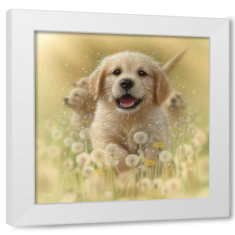 Golden Retriever Puppy - Dandelions - Square White Modern Wood Framed Art Print by Bogle, Collin