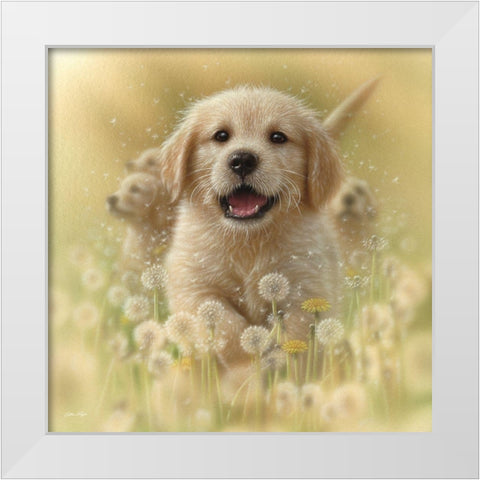 Golden Retriever Puppy - Dandelions - Square White Modern Wood Framed Art Print by Bogle, Collin
