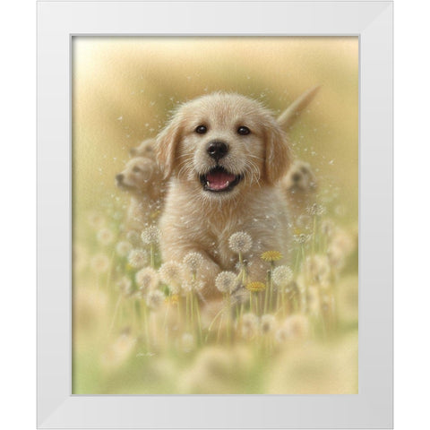 Golden Retriever Puppy - Dandelions White Modern Wood Framed Art Print by Bogle, Collin