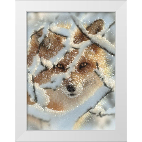 Red Fox - Hide and Seek White Modern Wood Framed Art Print by Bogle, Collin