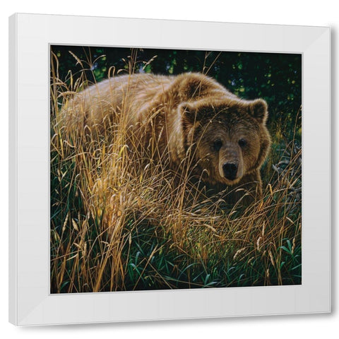 Brown Bear - Crossing Paths White Modern Wood Framed Art Print by Bogle, Collin