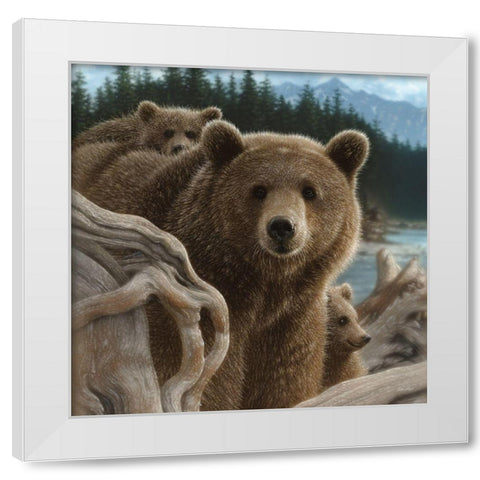 Brown Bears - Backpacking - Square White Modern Wood Framed Art Print by Bogle, Collin
