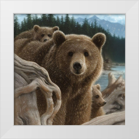 Brown Bears - Backpacking - Square White Modern Wood Framed Art Print by Bogle, Collin