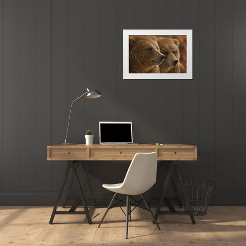 Brown Bears - Lazy Daze White Modern Wood Framed Art Print by Bogle, Collin