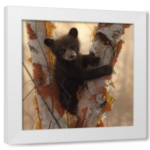 Curious Cub I White Modern Wood Framed Art Print by Bogle, Collin