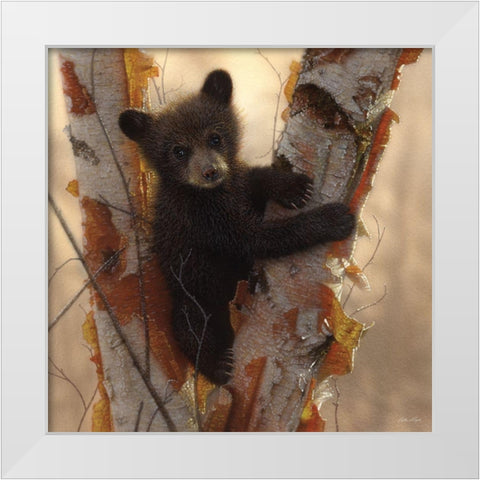 Curious Cub I White Modern Wood Framed Art Print by Bogle, Collin