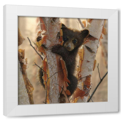 Curious Cub II White Modern Wood Framed Art Print by Bogle, Collin