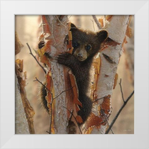 Curious Cub II White Modern Wood Framed Art Print by Bogle, Collin