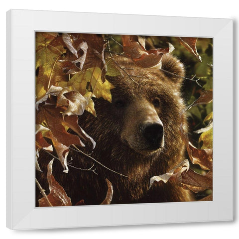 Legend of the Fall White Modern Wood Framed Art Print by Bogle, Collin