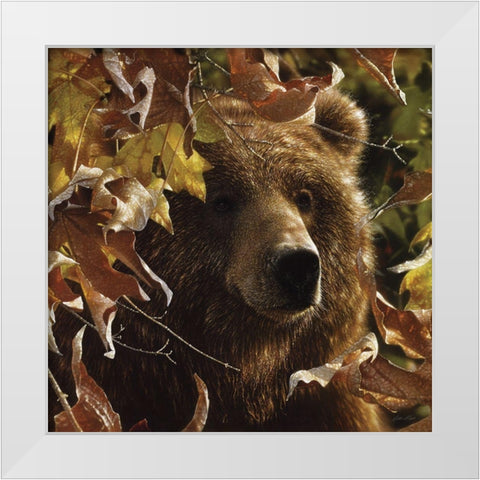 Legend of the Fall White Modern Wood Framed Art Print by Bogle, Collin