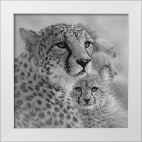 Cheetah Mother and Cubs - Mothers Love - Square - BandW White Modern Wood Framed Art Print by Bogle, Collin