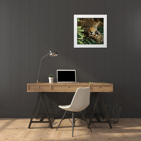 Jaguar - At Rest White Modern Wood Framed Art Print by Bogle, Collin