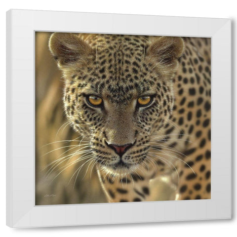 Leopard - On the Prowl - Square White Modern Wood Framed Art Print by Bogle, Collin