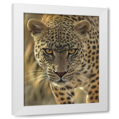 Leopard - On the Prowl White Modern Wood Framed Art Print by Bogle, Collin