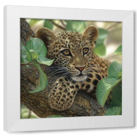 Leopard Cub - Tree Hugger White Modern Wood Framed Art Print by Bogle, Collin