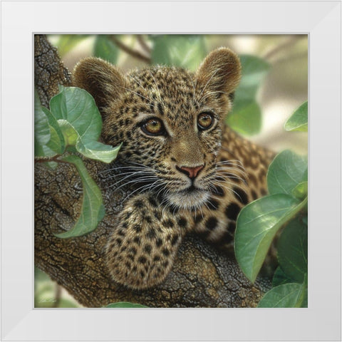 Leopard Cub - Tree Hugger White Modern Wood Framed Art Print by Bogle, Collin