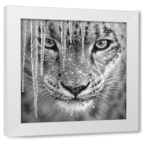 Snow Leopard - Blue Ice - BandW White Modern Wood Framed Art Print by Bogle, Collin