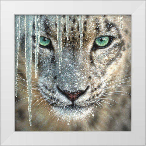 Snow Leopard - Blue Ice White Modern Wood Framed Art Print by Bogle, Collin