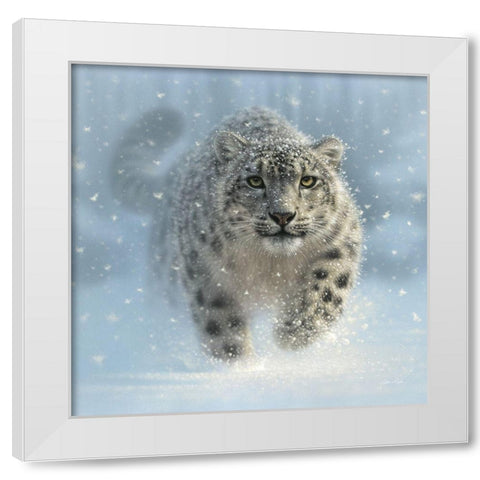 Snow Leopard - Snow Ghost White Modern Wood Framed Art Print by Bogle, Collin