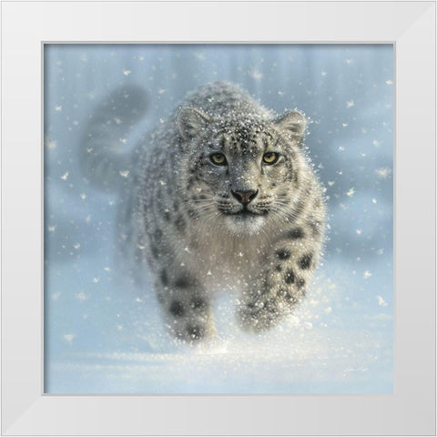 Snow Leopard - Snow Ghost White Modern Wood Framed Art Print by Bogle, Collin