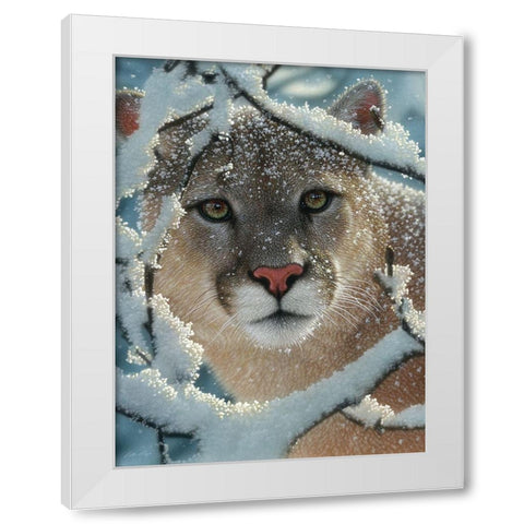 Cougar - Silent Encounter White Modern Wood Framed Art Print by Bogle, Collin