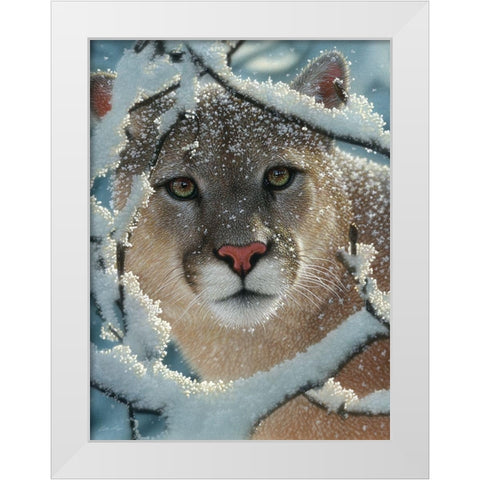 Cougar - Silent Encounter White Modern Wood Framed Art Print by Bogle, Collin