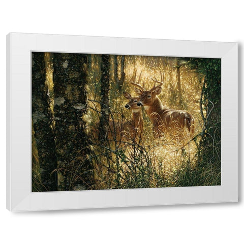 Whitetail Deer - A Golden Moment - Horizontal White Modern Wood Framed Art Print by Bogle, Collin