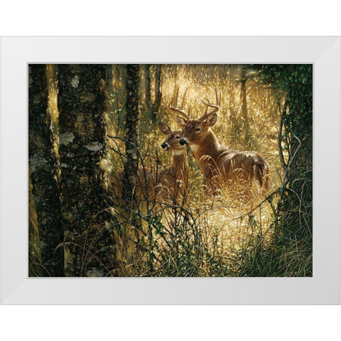 Whitetail Deer - A Golden Moment - Horizontal White Modern Wood Framed Art Print by Bogle, Collin