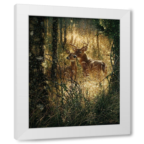 Whitetail Deer - A Golden Moment White Modern Wood Framed Art Print by Bogle, Collin