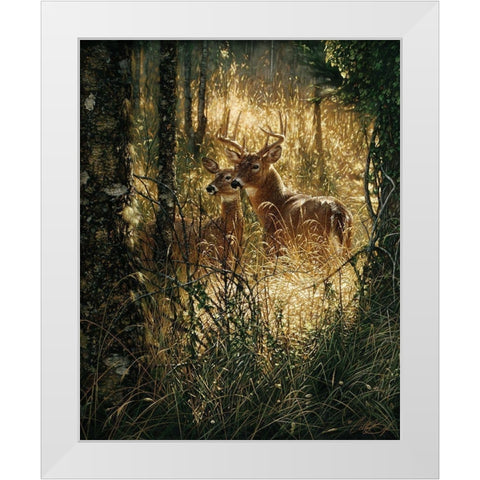 Whitetail Deer - A Golden Moment White Modern Wood Framed Art Print by Bogle, Collin