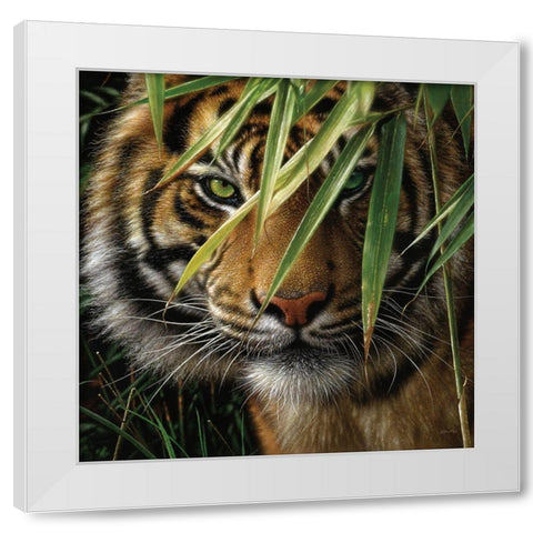 Tiger - Emerald Forest White Modern Wood Framed Art Print by Bogle, Collin