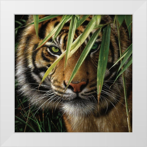 Tiger - Emerald Forest White Modern Wood Framed Art Print by Bogle, Collin